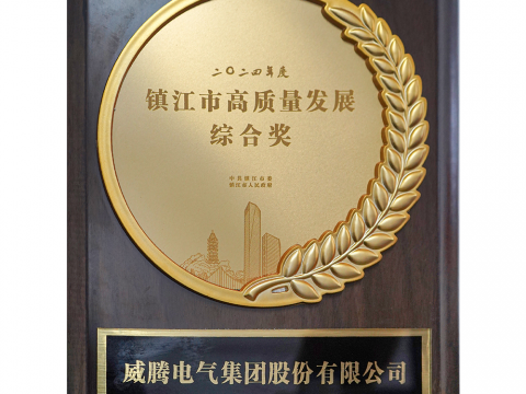 喜讯│0638太阳集团官网荣获2024年度镇江市高质量生长综合奖